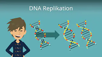 DNA Replikation