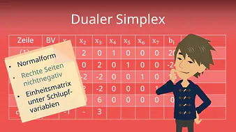Dualer Simplex