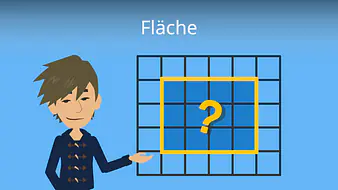 Fläche