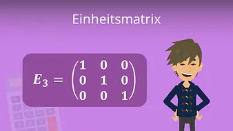 Einheitsmatrix