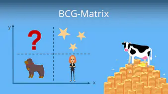 BCG-Matrix