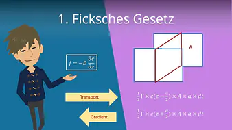 1. Ficksches Gesetz