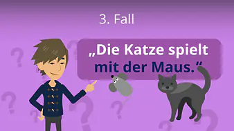 3. Fall